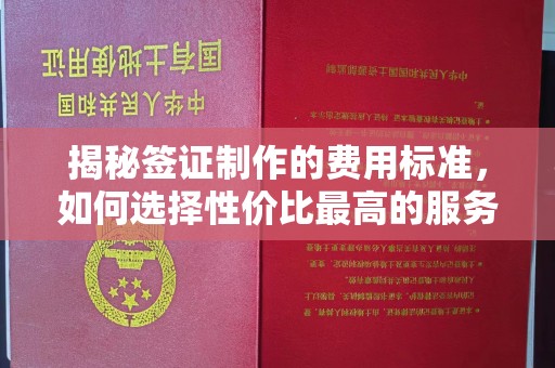 淇滨揭秘签证制作的费用标准，如何选择性价比最高的服务？